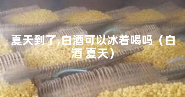 夏天到了,白酒可以冰着喝吗（白酒 夏天）